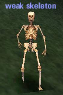 Picture of Weak Skeleton